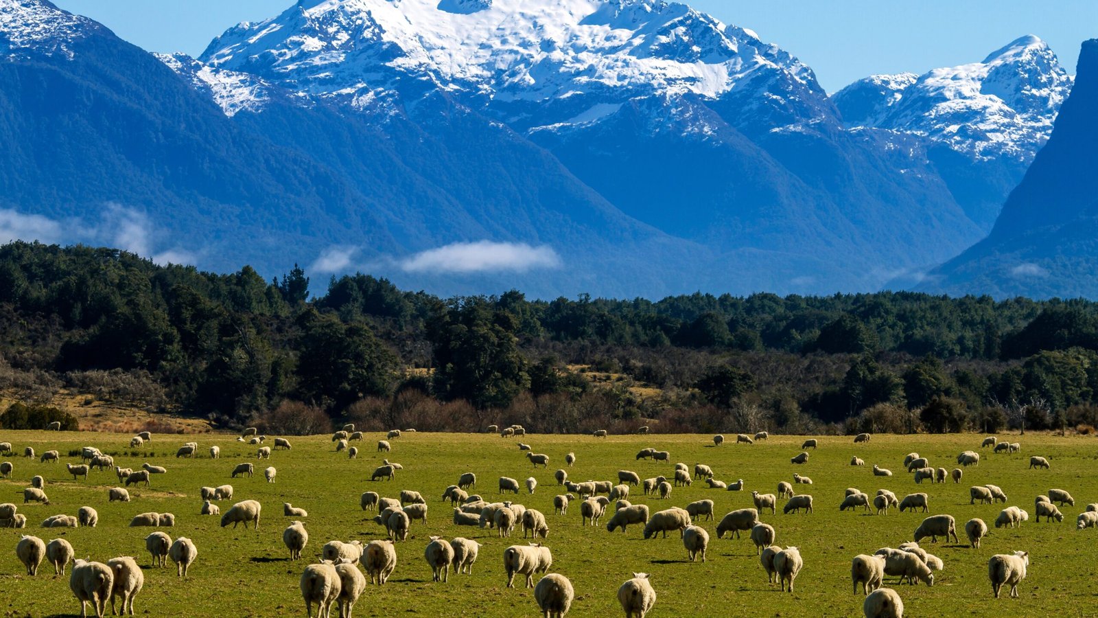 New Zealand